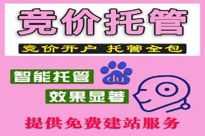 某品牌SEM广告投放案例：如何提高转化率